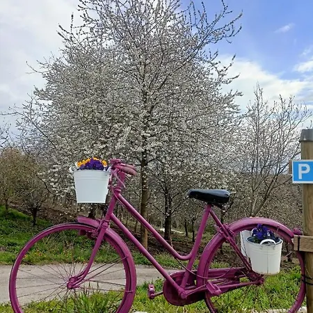 La Casa Di Beppe